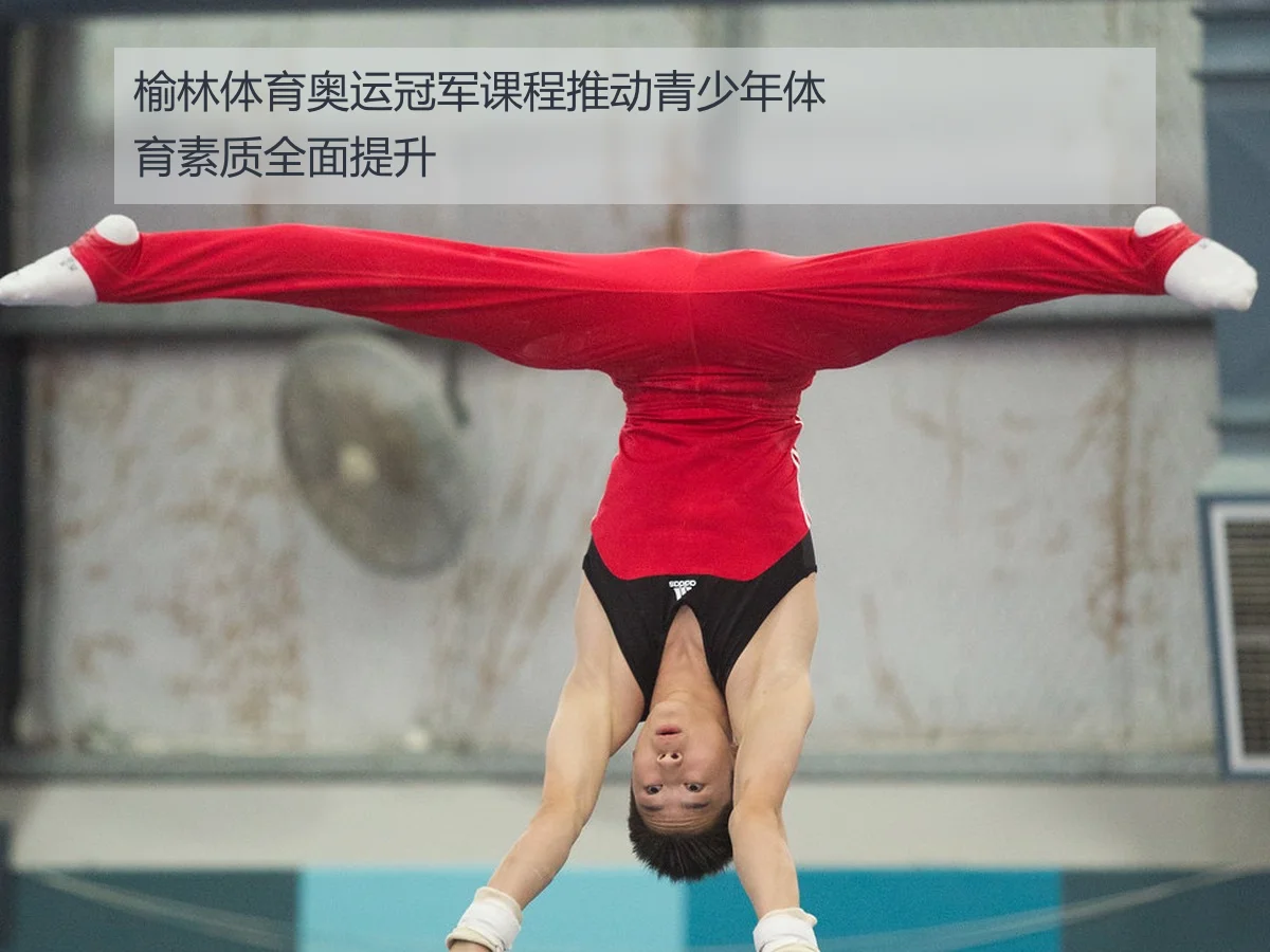 榆林体育奥运冠军课程推动青少年体育素质全面提升